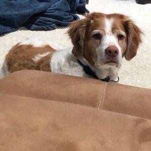 Meet your Posher, Timothy